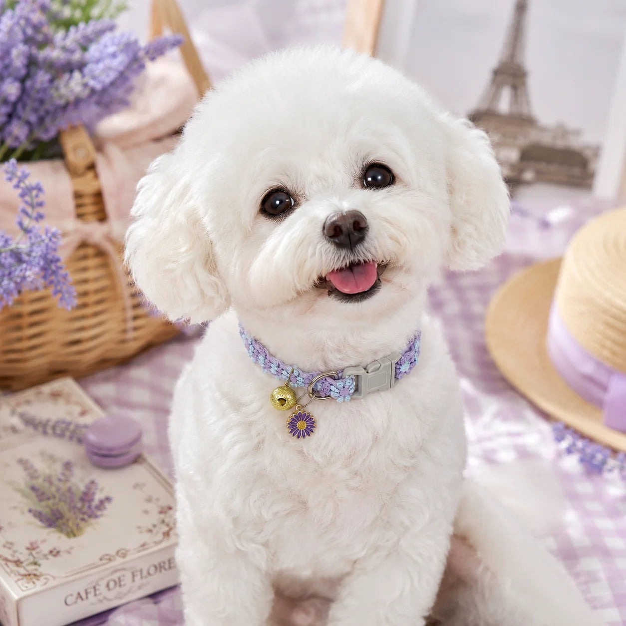 Spring Summer Soft Lace Flower Pet Collar Adjustable Breakaway Buckle Pet Neck Collar With Bell Floral Pendant For Cats Small Dogs 3 Colors Pink White Purple Optional