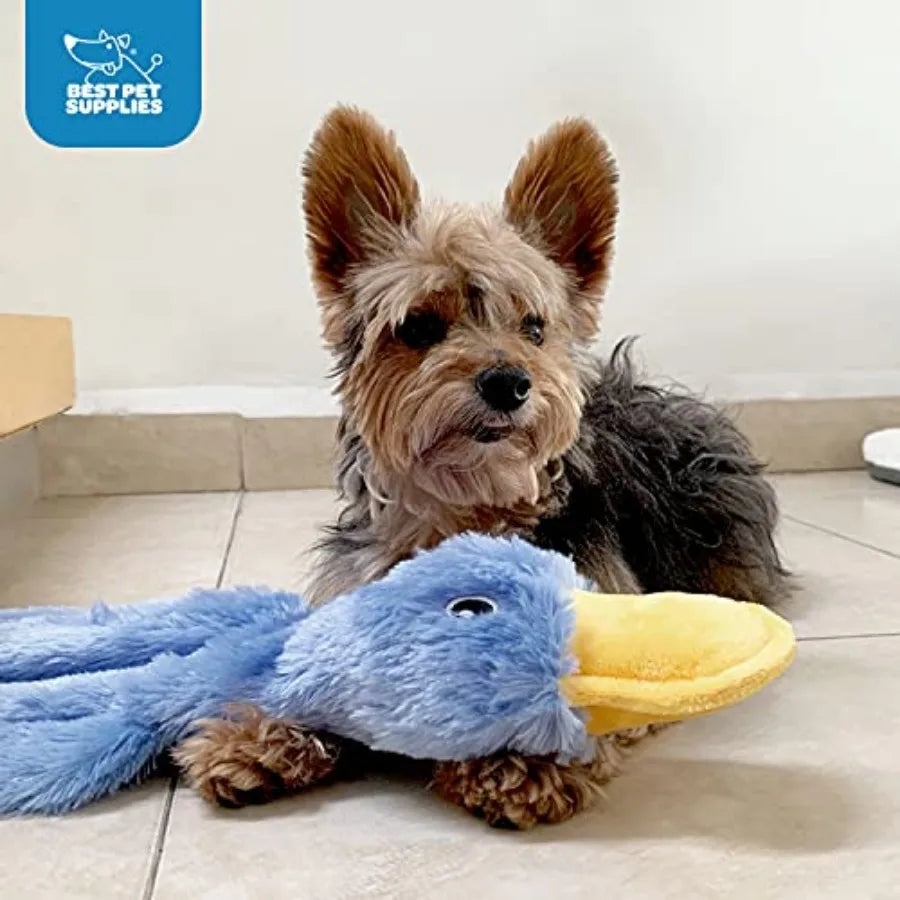 Interactive Squeaky Dog Chew Toy, Ideal Dog Toys for Chewers, Small, Medium and Large Dogs, and Fetch Lovers - Crinkle Duck Yel