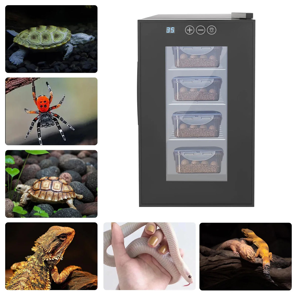 23L Reptile Incubator, 110V US Plug Galvanized Plate Breeding Cabinet, LED Temp Display Double Insulated Glass Detachable Shelves For Turtle Lizard Snake Egg Hatching