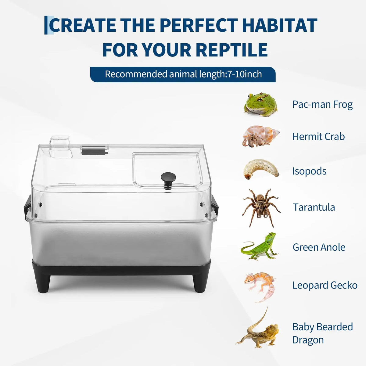 Small Reptile Terrarium Kit With Lid, Acrylic Tank, Heating Pad, Hygrometer, Hide & Bowl For Gecko Lizard Tarantula Frog Crab